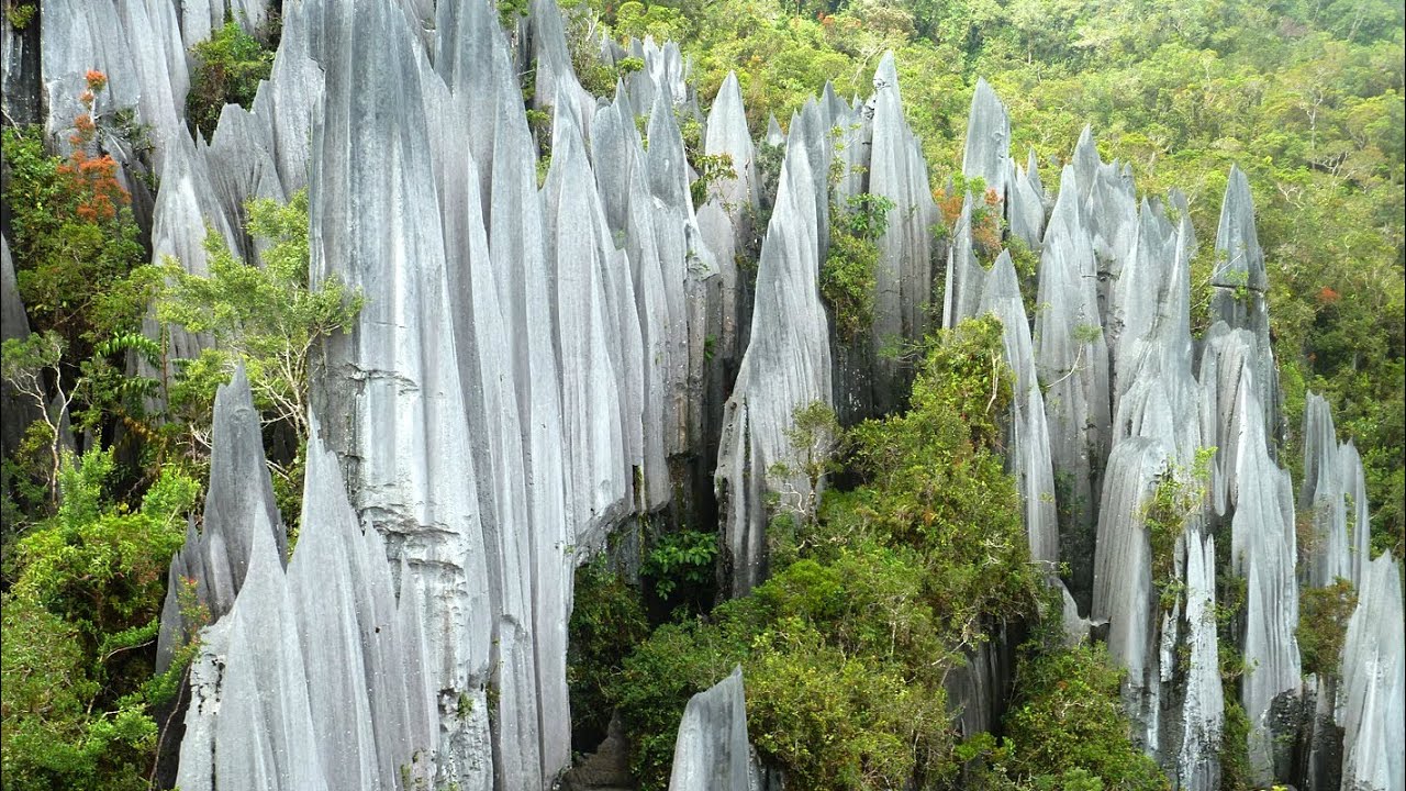 Gunung Mulu National Park, Pinnacles