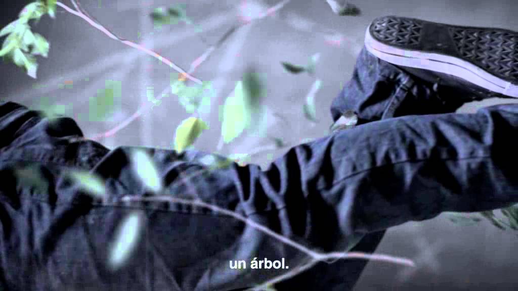 Cinturón de seguridad