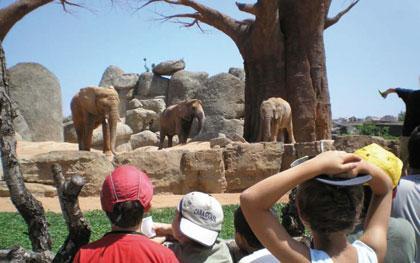 bioparc