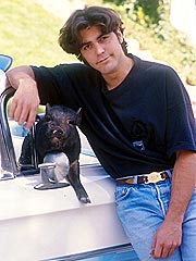 porc de George Clooney
