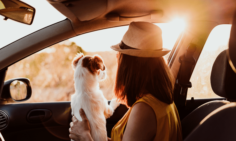 semana santa en coche