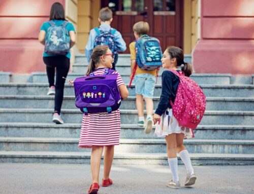 La seguridad vial en zonas escolares