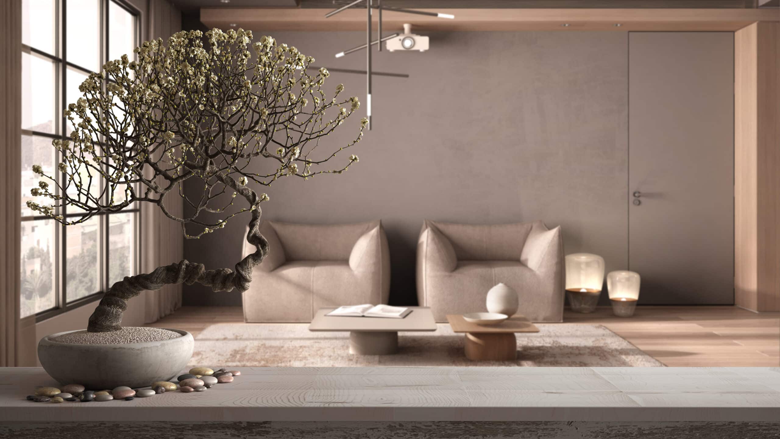 feng shui para el hogar
