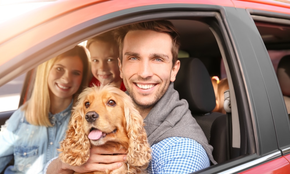 viajar mascota Viajar con tu mascota