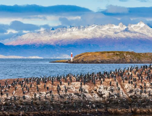 Viajar a Argentina: guía práctica y destinos imprescindibles