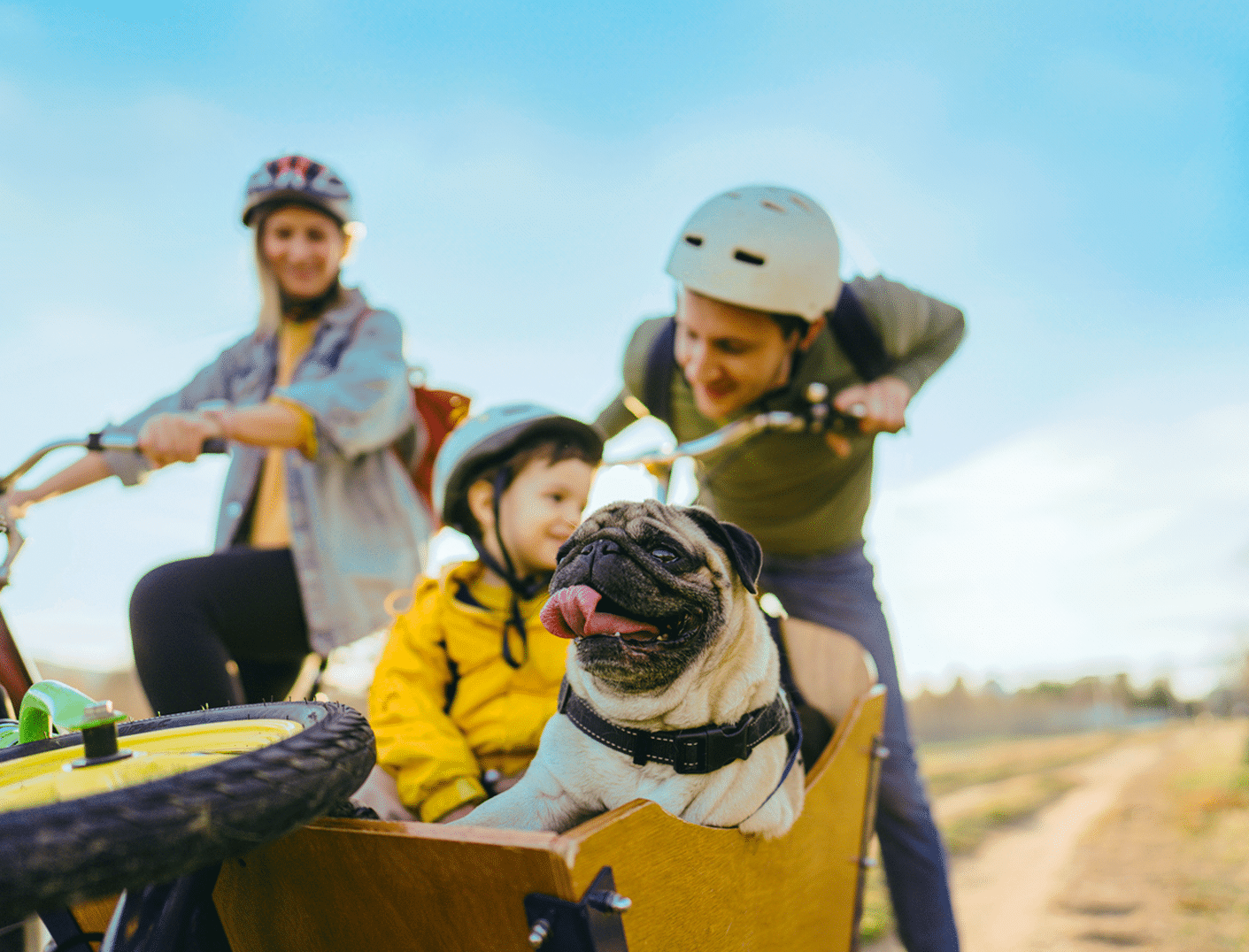 Padres, hijo y perro en la naturaleza