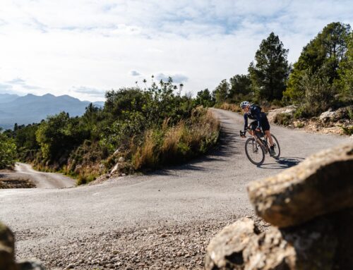 Cicloturismo en las Tierras del Ebro con SB Hotels: destino estratégico para el viajero sobre dos ruedas